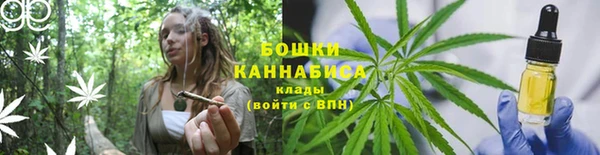 каннабис Беломорск