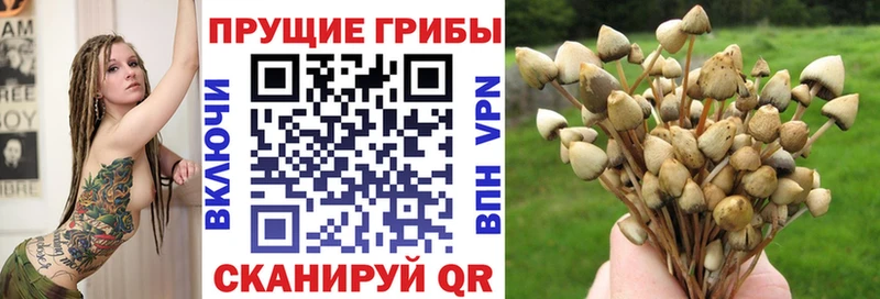 Галлюциногенные грибы MAGIC MUSHROOMS  гидра   Астрахань 